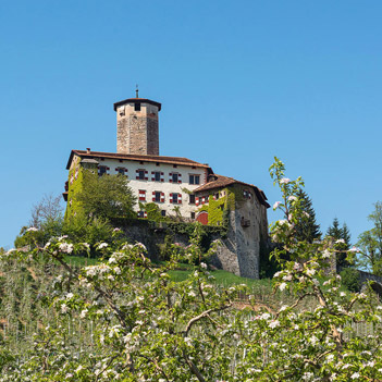 CASTEL VALER