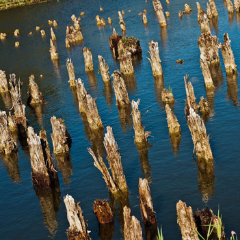 Museo delle Palafitte - Fiavè