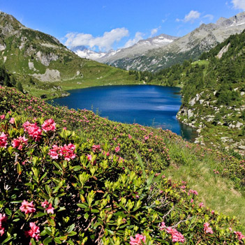 Parco Naturale Adamello Brenta